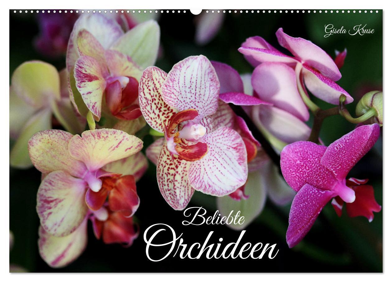 Naptár/Határidőnapló Beliebte Orchideen (Wandkalender 2025 DIN A2 quer), CALVENDO Monatskalender 