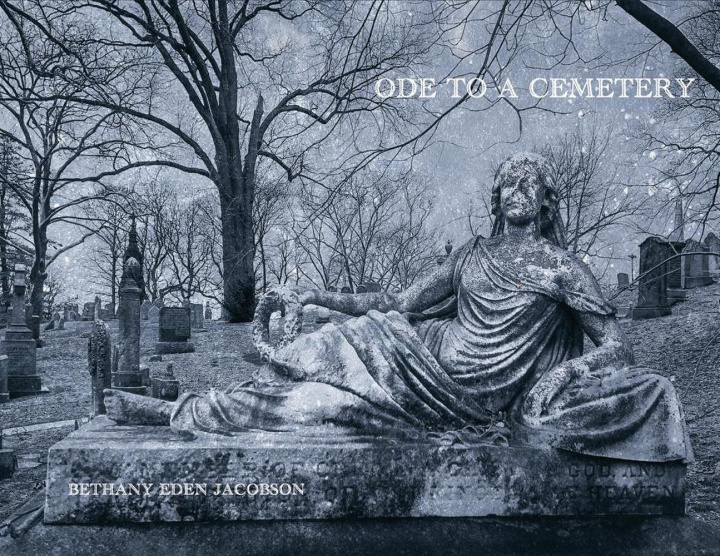 Kniha Ode to a Cemetery Cole Swensen