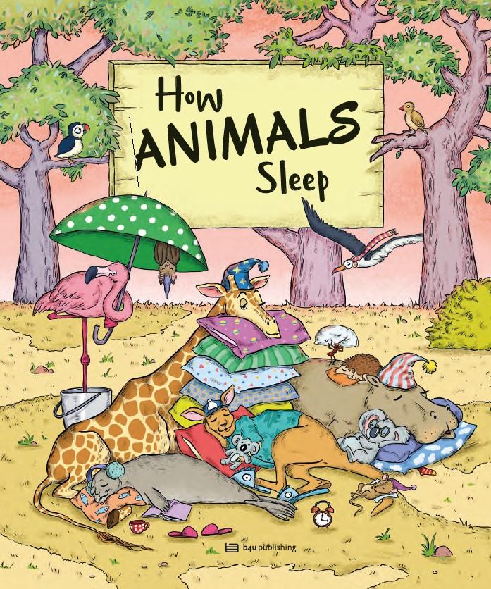 Kniha How Animals Sleep 
