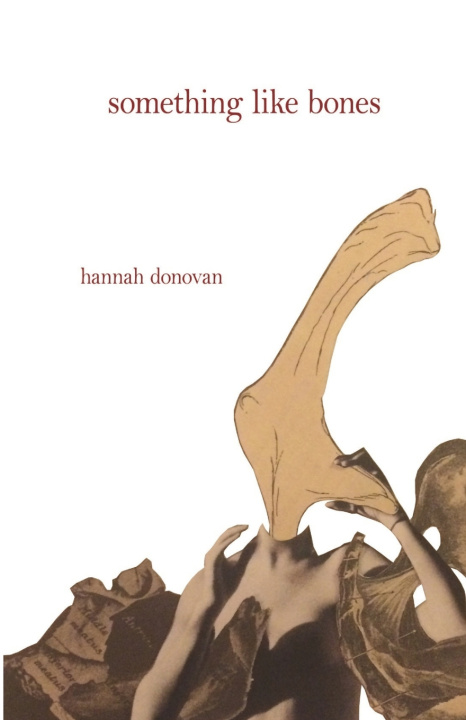 Knjiga Something Like Bones HANNAH DONOVAN