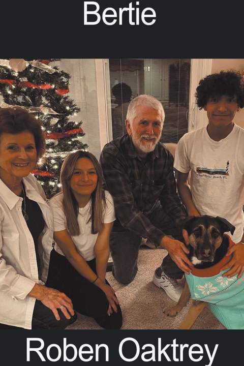 Knjiga Bertie Roben Oaktrey