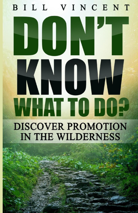 Knjiga Don't Know What to Do? Bill Vincent