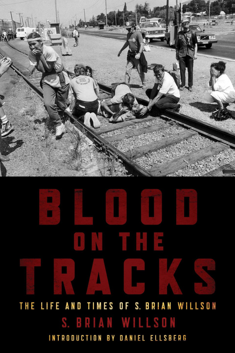 Kniha Blood on the Tracks 