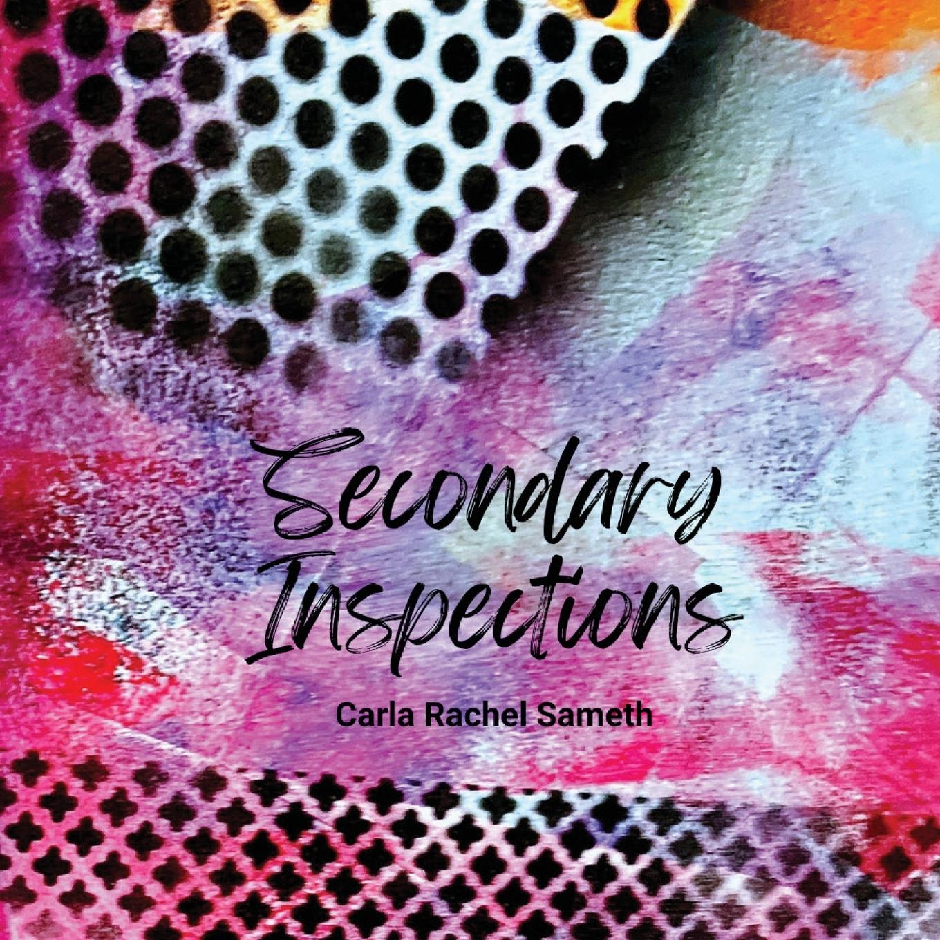 Buch Secondary Inspections Carla Rachel Sameth
