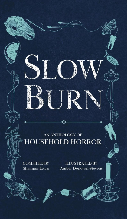Boek Slow Burn Shannon Lewis