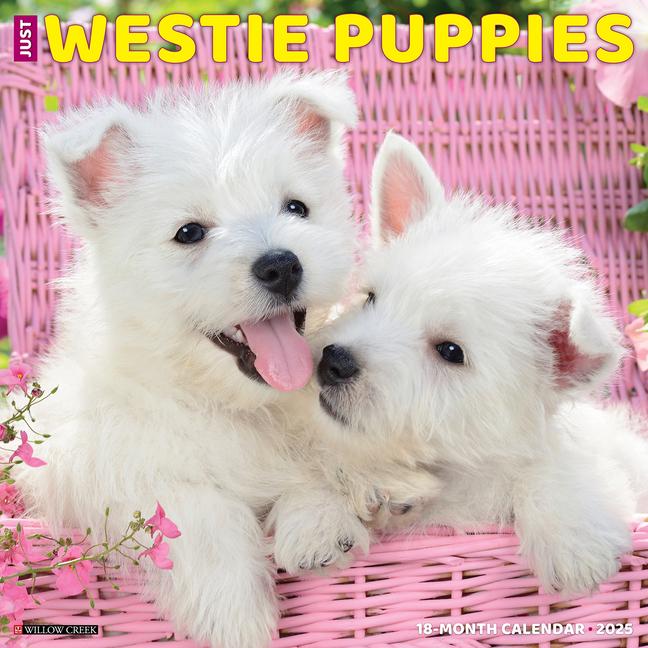 Kalendář/Diář CAL 25 WESTIE PUPPIES 2025 WALL WALL