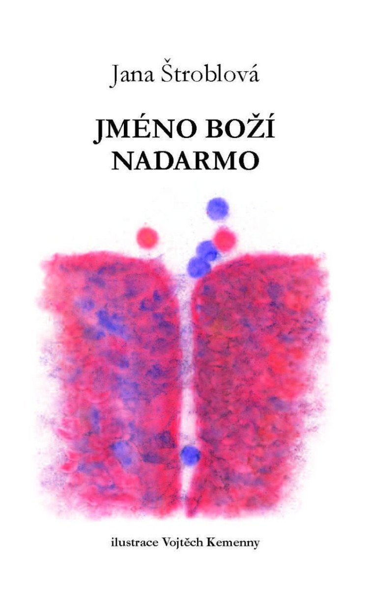 Buch Jméno boží nadarmo Jana Štroblová