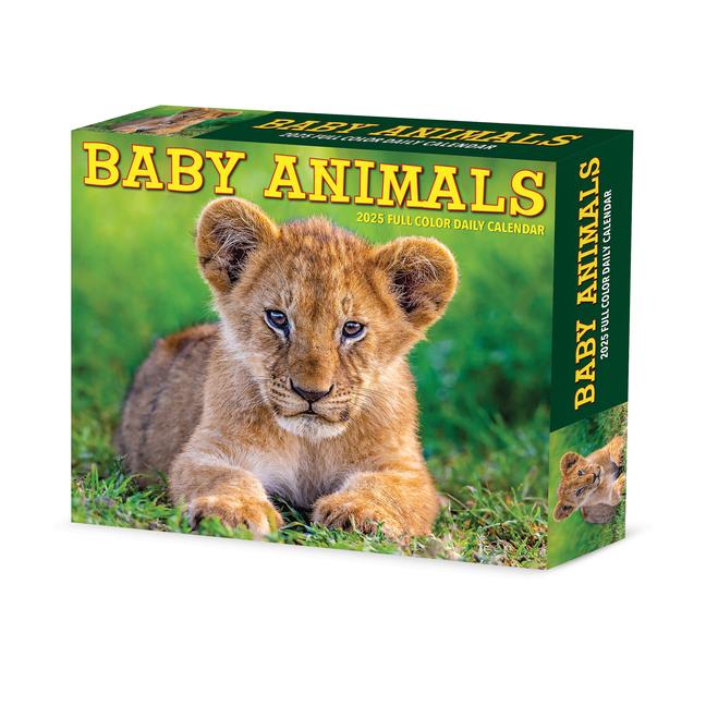 Kalendář/Diář CAL 25 BABY ANIMALS 2025 BOX BOX