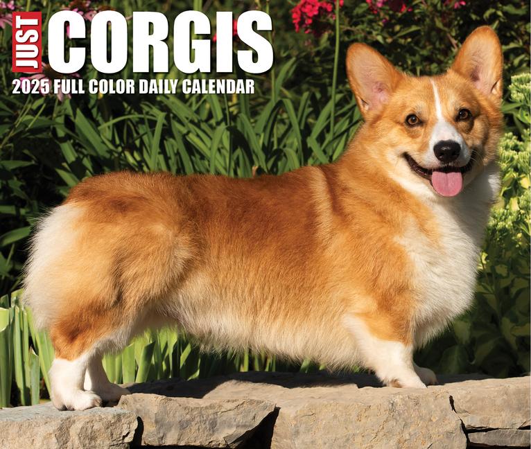 Calendar/Diary CAL 25 CORGIS 2025 BOX BOX