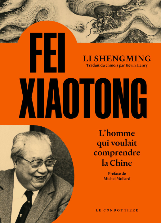 Kniha FEI Xiaotong Li