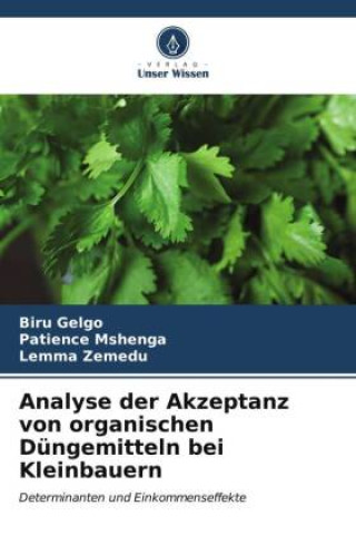 Книга Analyse der Akzeptanz von organischen Düngemitteln bei Kleinbauern Biru Gelgo