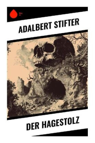Kniha Der Hagestolz Adalbert Stifter