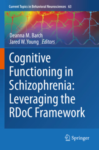 Knjiga Cognitive Functioning in Schizophrenia:  Leveraging the RDoC Framework Deanna M. Barch