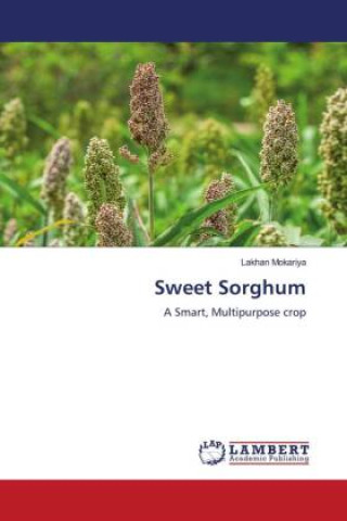 Kniha Sweet Sorghum Lakhan Mokariya