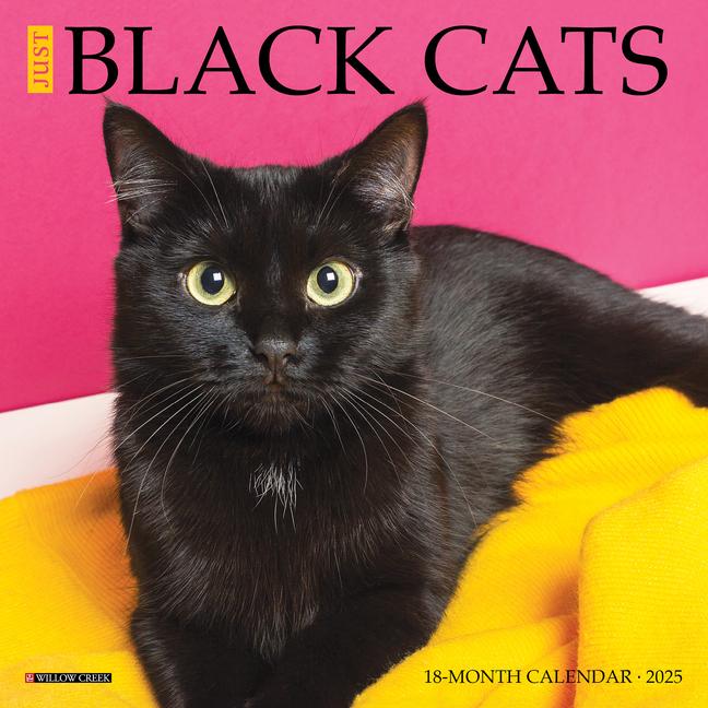 Naptár/Határidőnapló CAL 25 JUST BLACK CATS 2025 MINI WALL MINI WALL