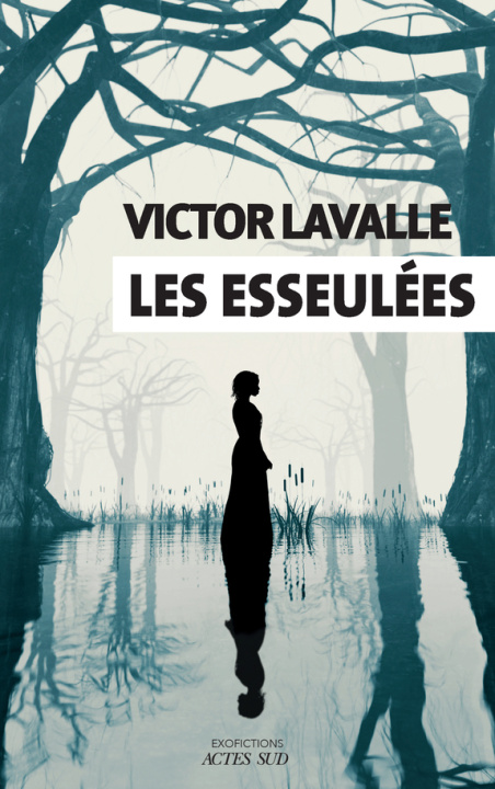 Knjiga Les esseulées Lavalle