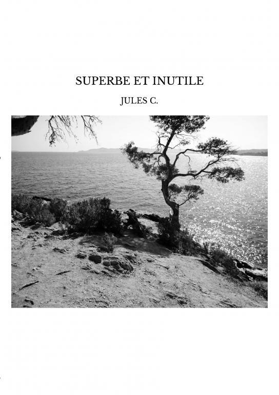 Knjiga SUPERBE ET INUTILE C.