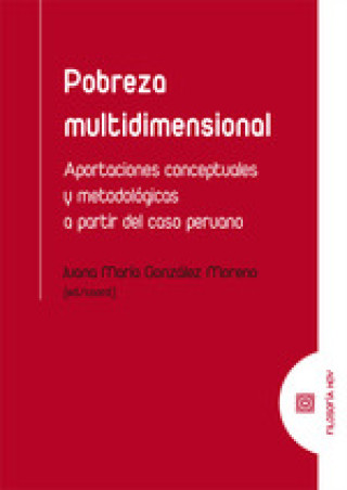 Βιβλίο POBREZA MULTIDIMENSIONAL GONZALEZ MORENO