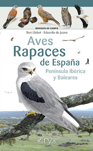 Kniha AVES RAPACES DE ESPAÑA PENINSULA IBERICA Y BALEARES LLOBET