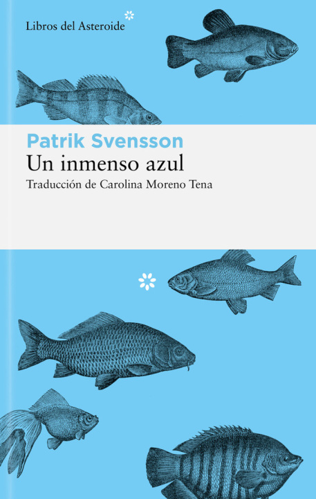 Boek UN INMENSO AZUL SVENSSON
