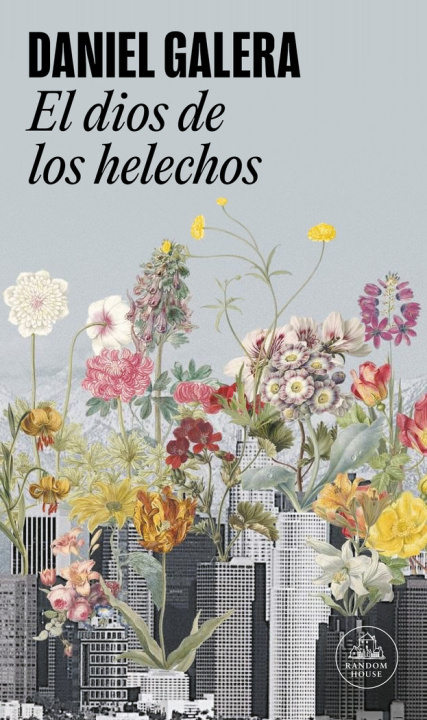 Book EL DIOS DE LOS HELECHOS DANIEL GALERA