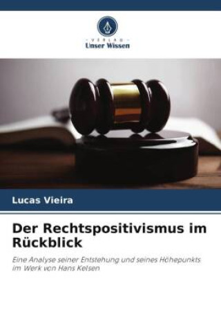 Book Der Rechtspositivismus im Rückblick Lucas Vieira