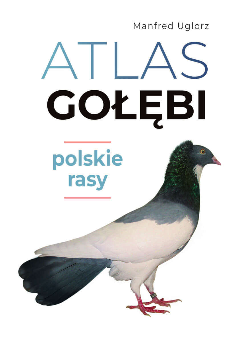 Kniha Atlas gołębi. Polskie rasy Manfred Uglorz