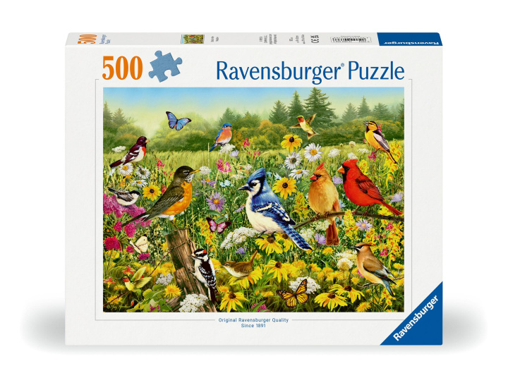 Jeu/jouet Ravensburger Puzzle 12000336 - Vogelwiese - 500 Teile Puzzle für Erwachsene und Kinder ab 12 Jahren 