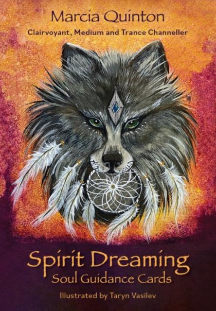 Book Spirit Dreaming Taryn Vasilev