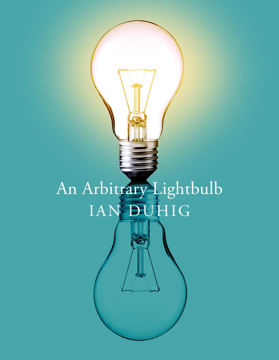 Knjiga Arbitrary Lightbulb Ian Duhig