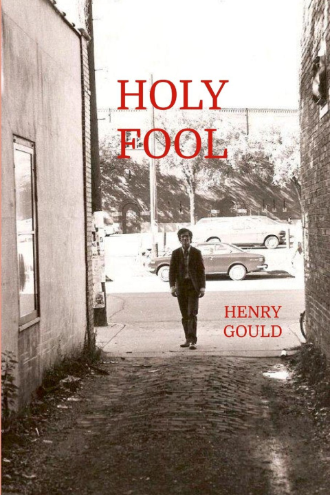 Book Holy Fool Henry Gould