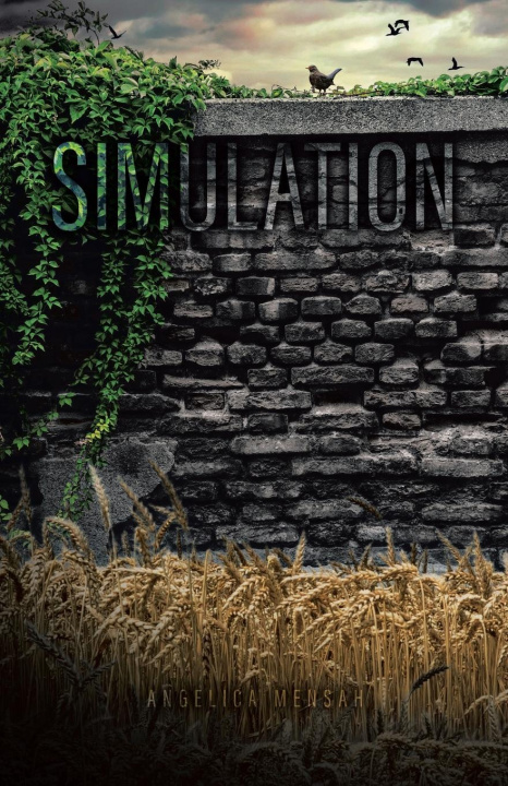 Knjiga Simulation Angelica Mensah