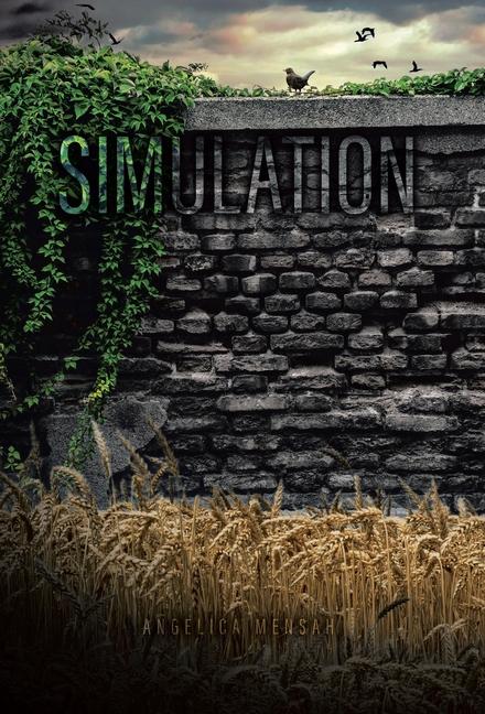 Book Simulation Angelica Mensah