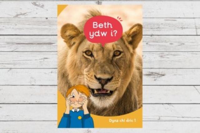 Buch Dyna Chi Dric: Beth Ydw I? Eirian Lloyd Jones