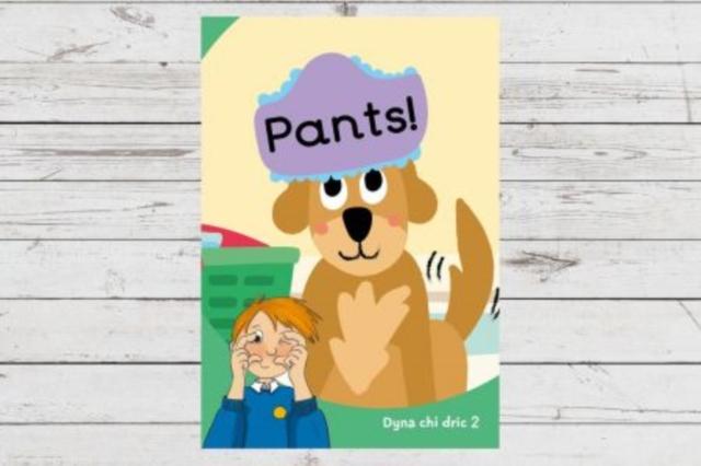 Knjiga Dyna Chi Dric: Pants Eirian Lloyd Jones