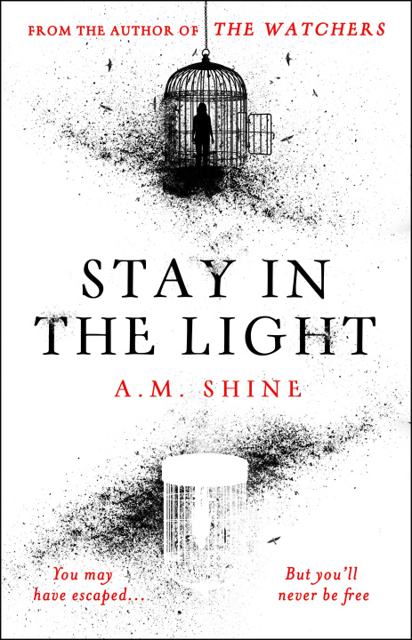 Kniha Stay in the Light A.M. Shine