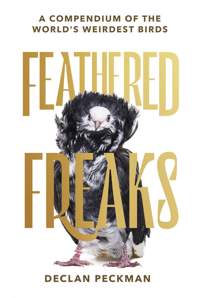 Kniha Feathered Freaks Declan Peckman