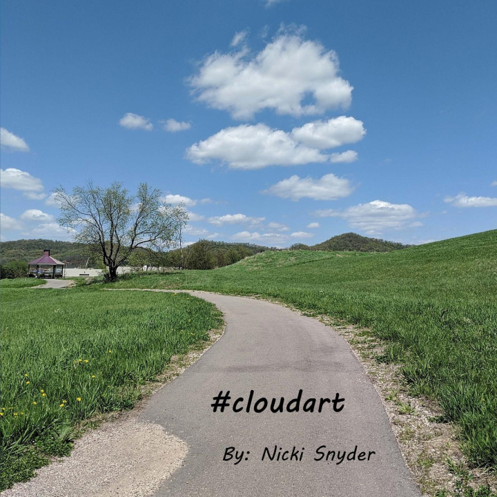 Knjiga #cloudart Nicki Snyder