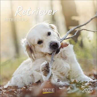 Calendar/Diary Retriever 2025 