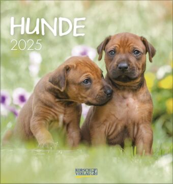 Calendar / Agendă Hunde 2025 