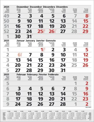 Kalendář/Diář 3-Monats-Planer Comfort Grau 2025 