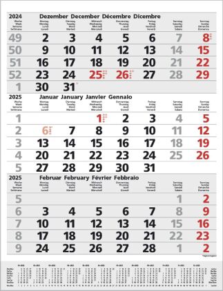 Kalender/Terminbuch 3-Monats-Planer Comfort Grau 2025 