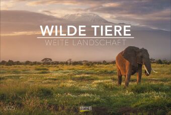 Kalendář/Diář Wilde Tiere - weite Landschaft 2025 