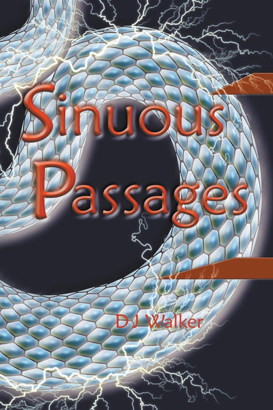 Knjiga Sinuous Passages D J Walker