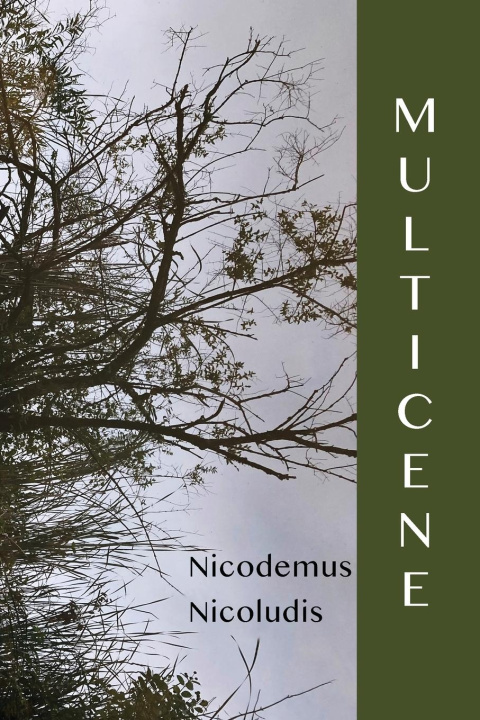 Knjiga Multicene Nicodemus Nicoludis