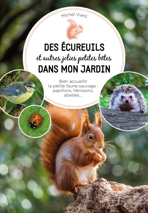 Kniha Ecureuil, hérisson, mésange et compagnie Michel Viard