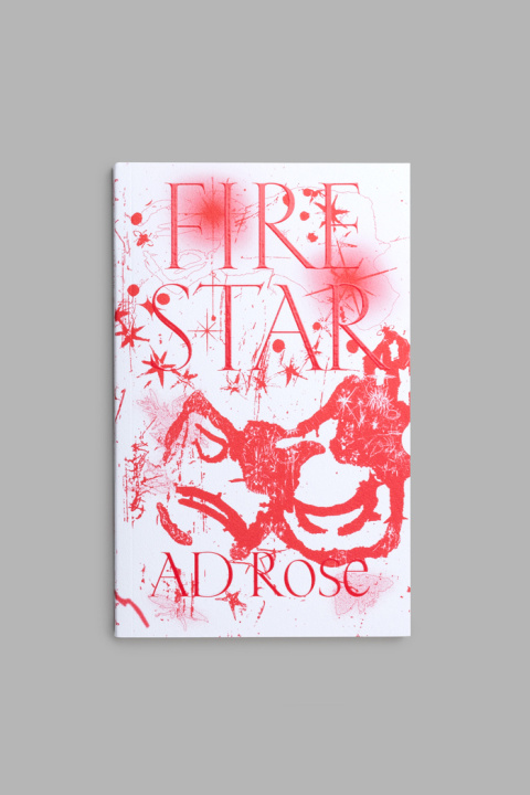 Buch Firestar AD