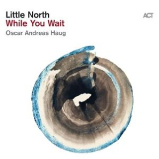 Zvok While You Wait, 1 Audio-CD Little North