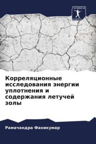 Boek Korrelqcionnye issledowaniq änergii uplotneniq i soderzhaniq letuchej zoly Ramachandra Fanikumar