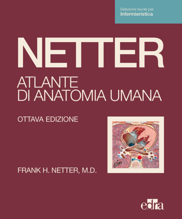 Knjiga Netter. Atlante di anatomia umana. Scienze infermieristiche Frank H. Netter